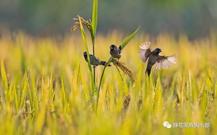 人的一生能说出来的苦都不算苦 （如是.我闻第四篇）