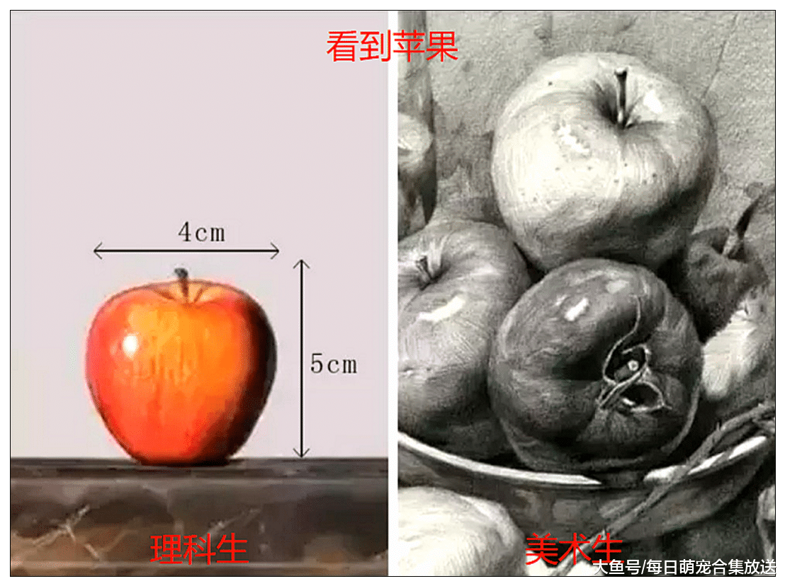 美术生VS理科生，这差距扎心了，网友：我怕是个假美术生