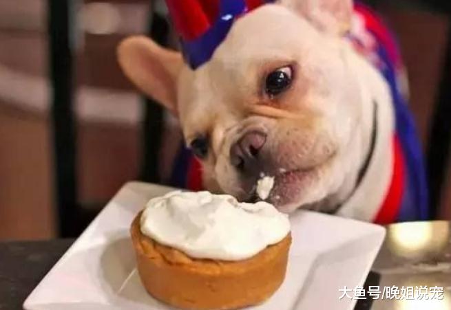 三种蔬菜不能给狗狗吃，非但没营养，可能会要了它们的命！