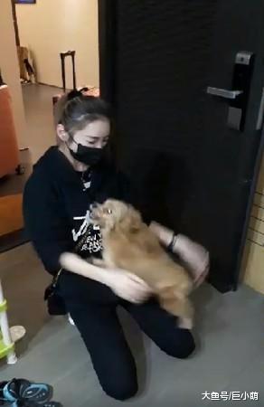 主人久别回家，家中狗狗旋转跳跃扑主人，场景温馨让人感动