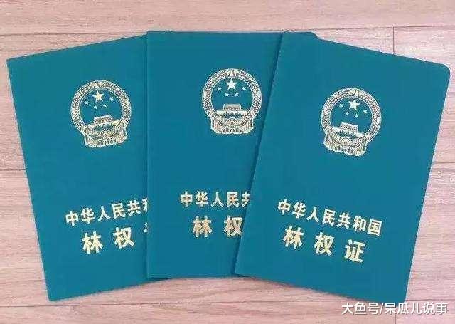 农民都知道土地确权，但却不知道确权后下一步是什么？