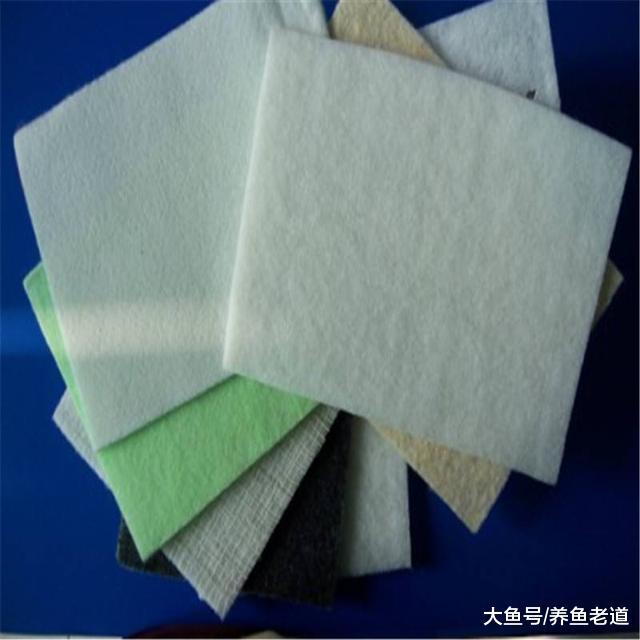 观赏鱼的状态很好，鱼缸水质浑浊的原因会出在哪里？