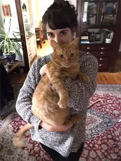 凶悍野生大橘猫街头流浪讨生活，没想到有一天……