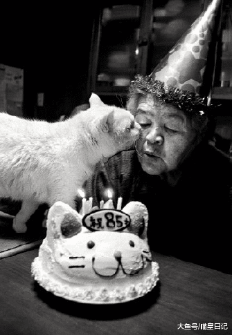 都说老年人适合养猫，可什么猫更适合老人呢？大橘又双上榜