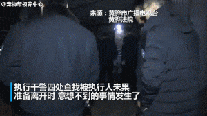 大金毛大义灭亲，带着警察叔叔抓老赖主人，遵法守法，好好做人！