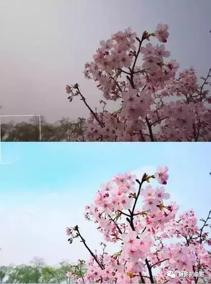 9个小技巧, 用手机也能拍出优秀摄影作品