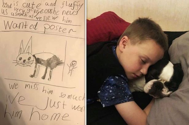 狗狗被偷，心碎的7岁男孩画下这样一张寻狗启事，戳中网友的心