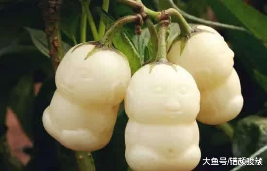 4種最難吃的水果，榴蓮都沒上榜，全吃過的請允許我叫你一聲大佬