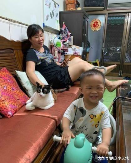 养猫后家中地位下降！她晒照片讨拍反被关心：你还健在？