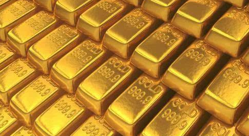 ##世界上含“金”量丰富的生物，拥有一条，或许能实现暴富美梦