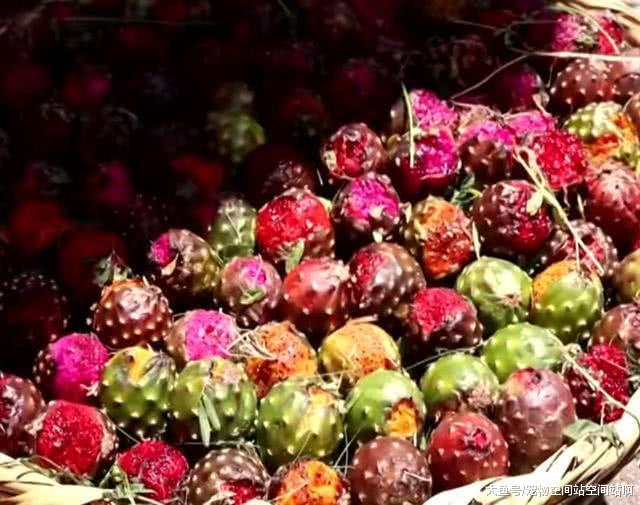 在中國只能爛掉的水果，國外賣到80元人民幣，到底怎么回事？