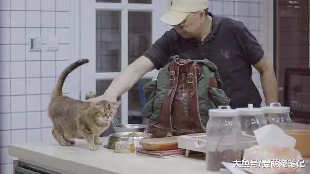 62岁的老爷爷骑哈雷喂流浪猫，十年来风雨无阻，前后喂养300余只