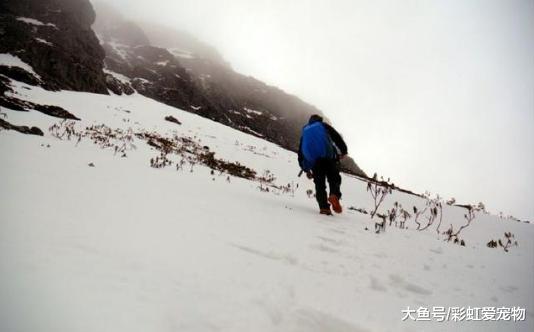 人穷时，戒掉三个毛病，断了三种关系，很快就能富起来