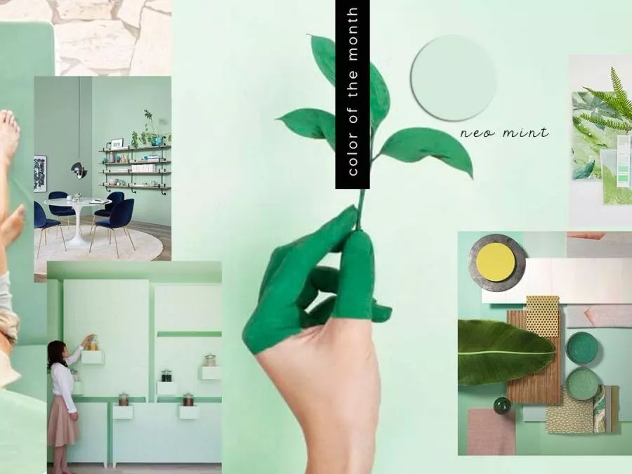 九月色彩推荐|共同迈入“绿色”的未来