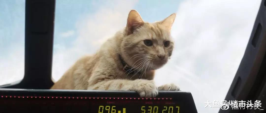 失效的“地王抢救手册”