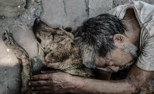 六条腿狗狗陪伴生病男孩，带他走出自卑...