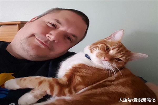 咕噜声并不是猫咪快乐的唯一标志，这六种行为也需要铲屎官去发掘