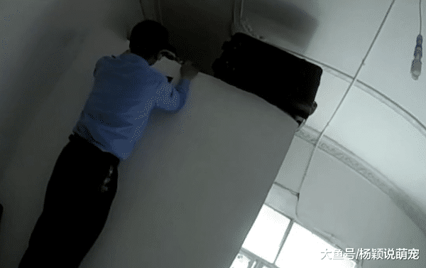 男子为报复变心女友，疯狂偷窃女性内衣，只为刺激来换取心里安慰