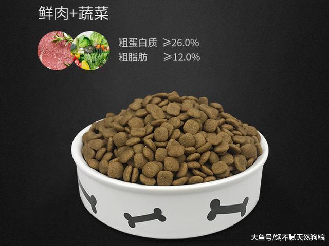 养了拉布拉多，你会羡慕不已，有这5种甜蜜的”烦恼“