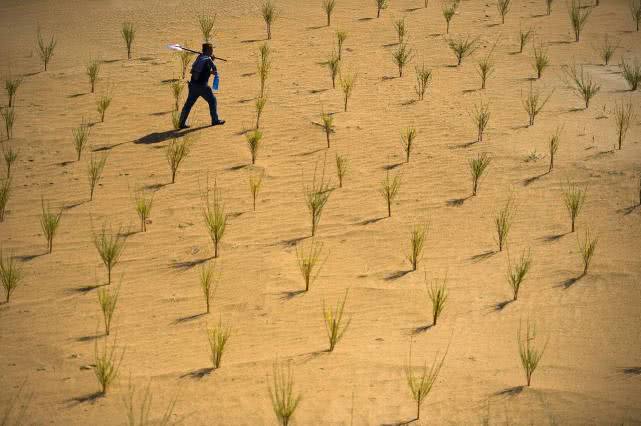 马云撤离，当年的“天价”蚂蚁森林如何了？看到生图，痛哭流涕