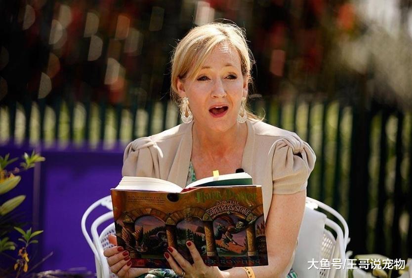 JK罗琳坦诚遗憾：没让哈利波特和赫敏在一起，他们才应该是一对