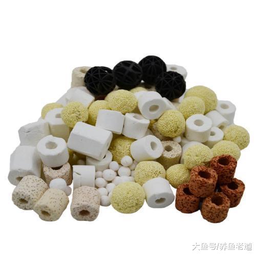 一篇文章告诉我们，饲养观赏鱼，需要掌握哪些最基本的问题？