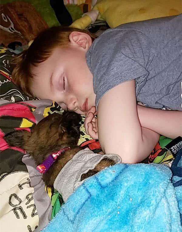 小男孩攒了一年半的零用钱，只为养狗，抱住狗狗那一刻，感动哭了