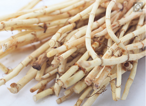 饮食|它们是“天然阿莫西林”，每天泡水喝，帮助消炎抗菌，咽炎不来扰！