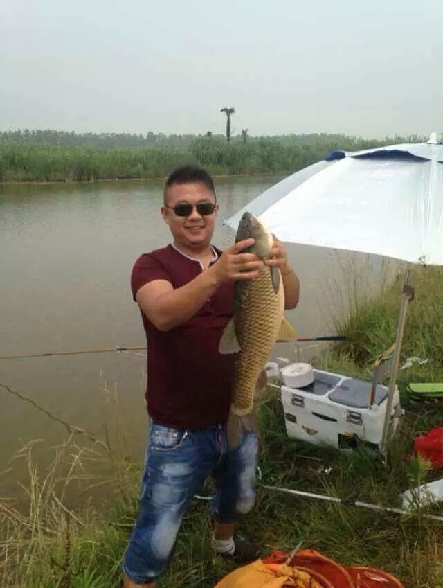 又大又肥的鲫鱼，你能钓多少？民间小妙招，大鲫鱼呼呼咬钩