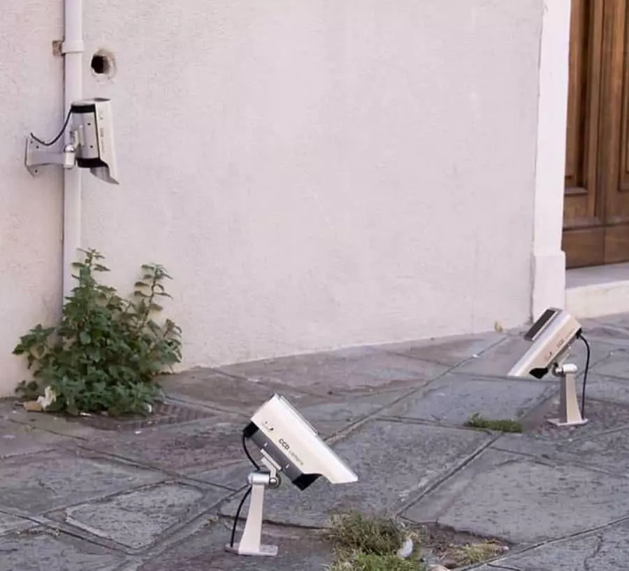 “难得一见”的6张图片, 每一张都很有趣