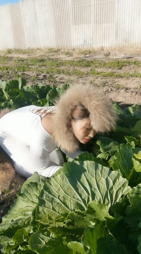 菜地里的美女，打扮成这样是在模仿小狐狸吗？