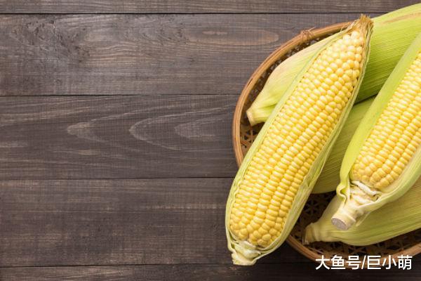 玉米和狗狗不得不说的故事，狗狗可以吃玉米吗？需要注意哪些问题