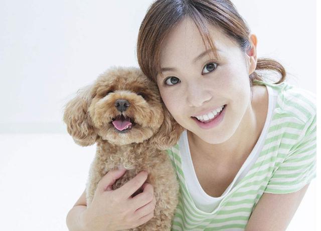 内行人告诉你怎么挑选纯种的泰迪犬, 一看一个准!