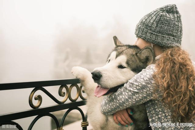 4种能和哈士奇比傻的狗，果然世界大了，什么都有