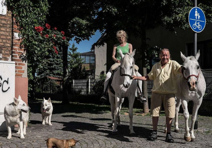 德国一匹白马独自在市区散步14年，当地居民早已习惯