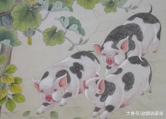 “难”享福的三大生肖：上辈子欠了一辈子的债，这辈子来还的