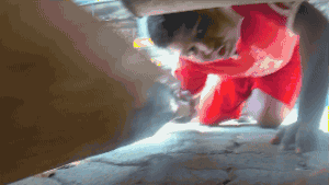 流浪狗一天的遭遇，看完莫名心酸