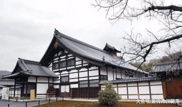 逛菜市场的那么惬意的事情，到了日本却傻了眼，分分钟怀疑人生！