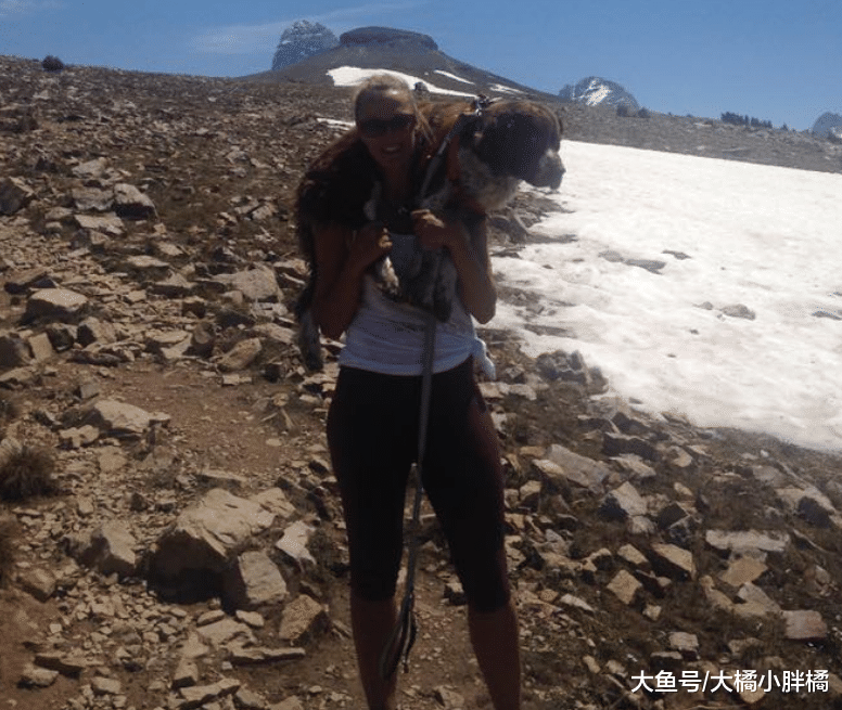 受伤狗狗被困山中，女子扛着它艰难下山，父亲从旁鼓励，有爱之家