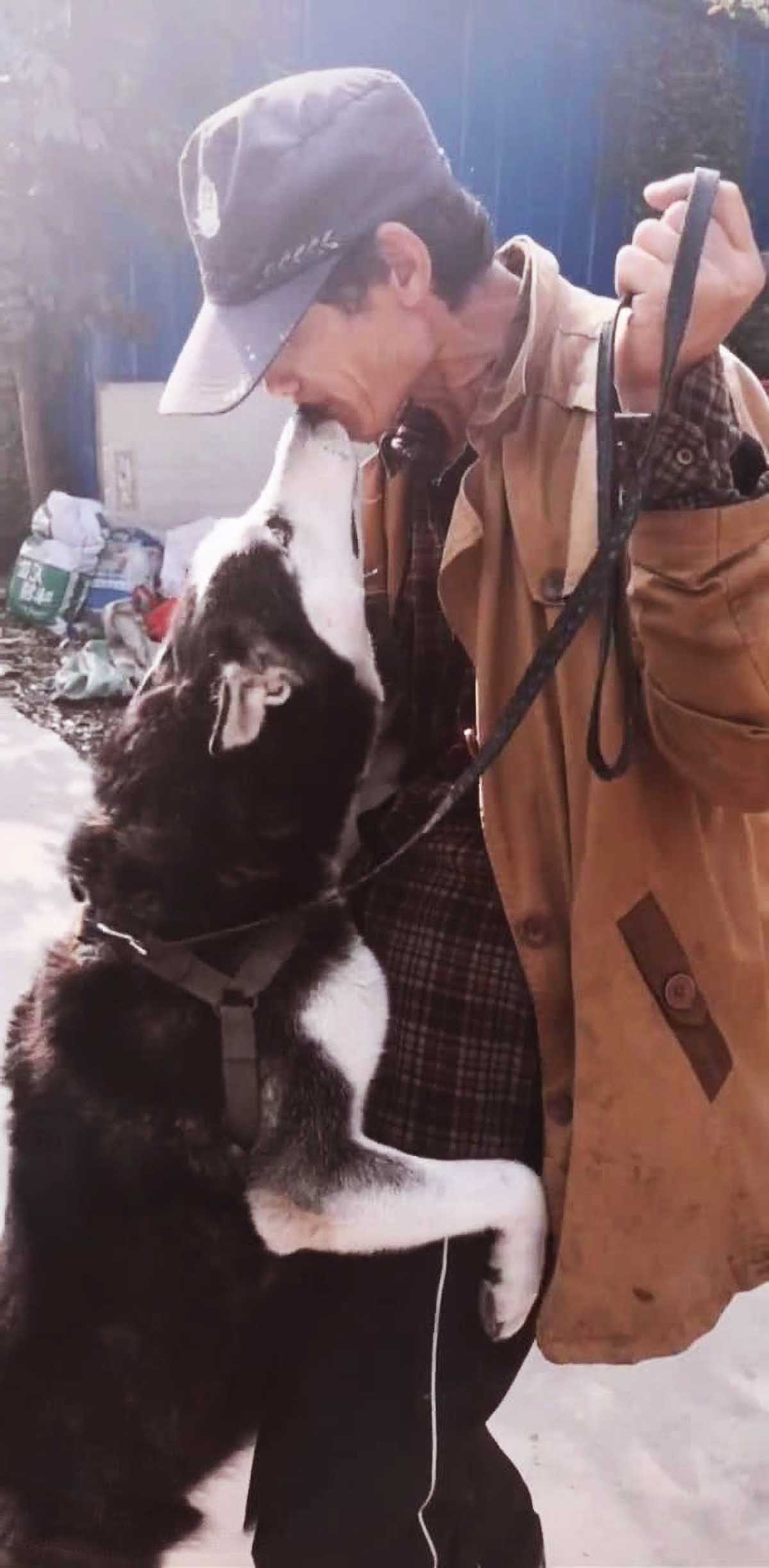 狗狗哀求主人，不要卖自己骨肉，下意识的举动，彻底让网友泪崩！