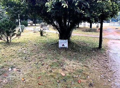 柯基被遗弃在公园, 身上带着巨额红包和一封信, 信上内容让人落泪