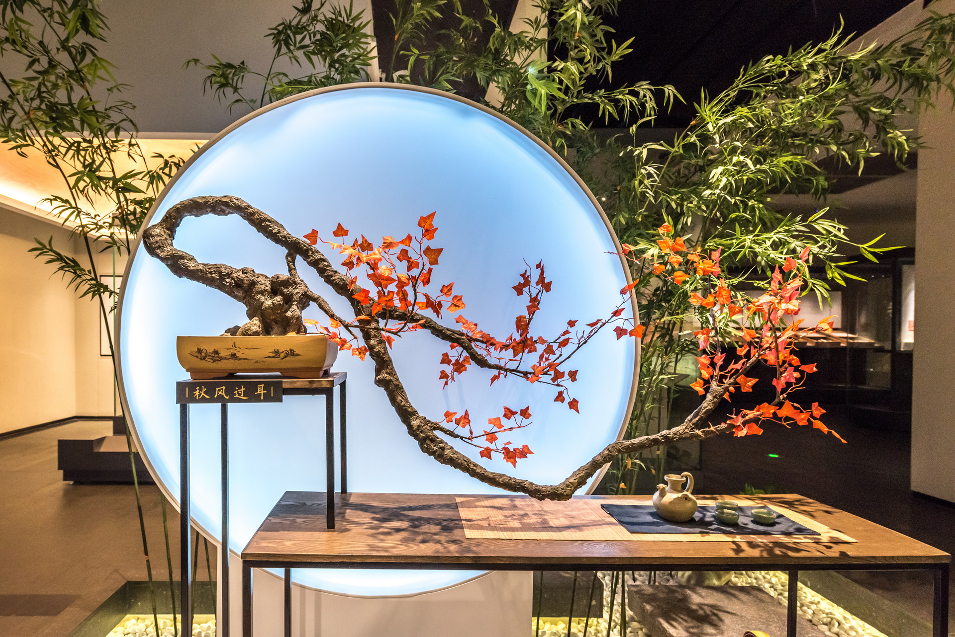 家居装饰 | 家中放盆景，赏心又悦目