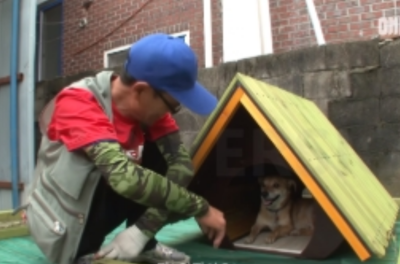 狗狗因火灾而没了家，可它从未放弃等待主人归来，团圆时让人泪目