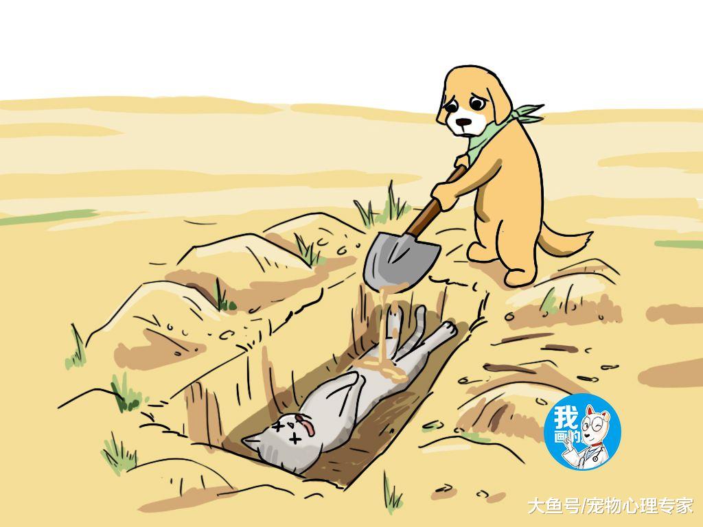 男子发现流浪狗嘴里叼着猫咪，跟去一看却不禁落泪，安息吧