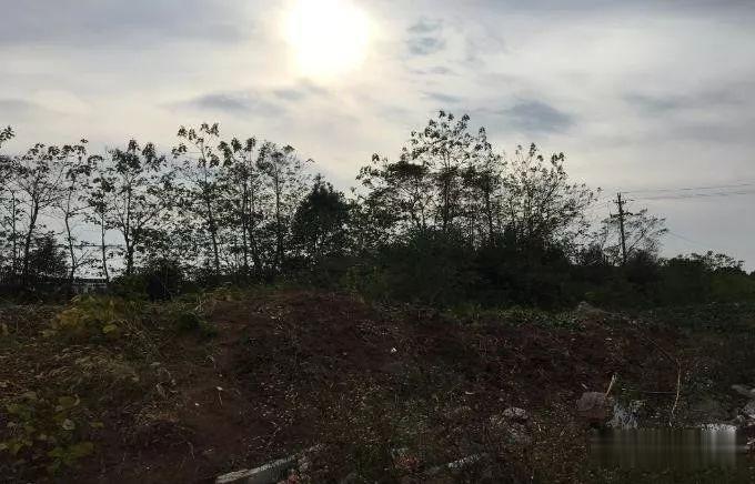 11月有一大波地块出让，涉及平水、杨汛桥、福全……