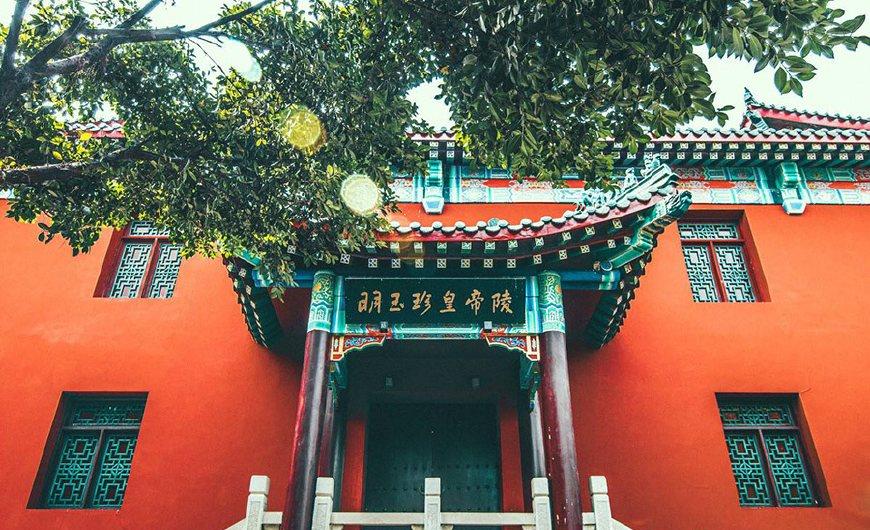 重庆发现1座皇帝墓，考古专家痛哭流涕，韩国却一下来了50多人！