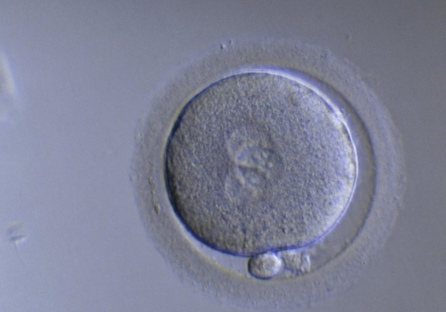 星座有妖气 精液健康的男人，一般会有这些“共性”，若你能占一个，也很不错