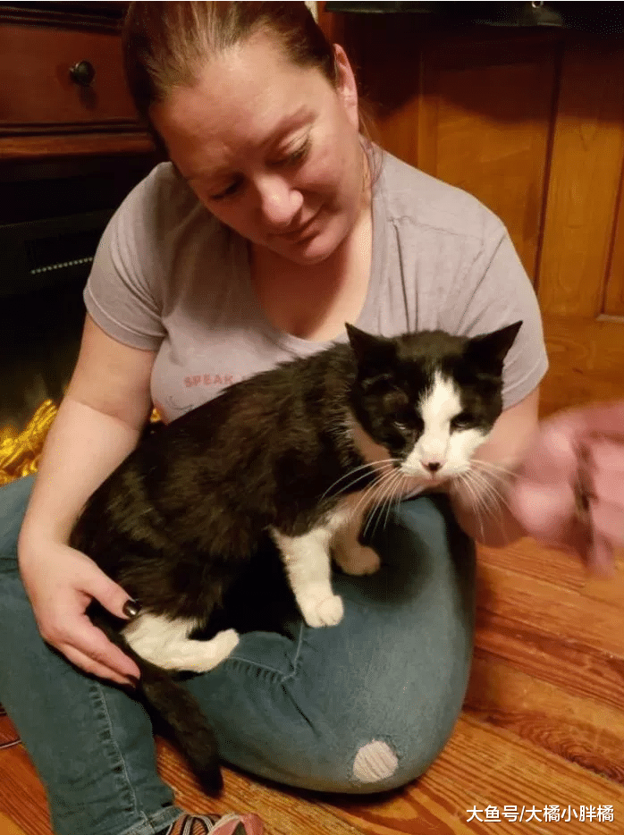 20岁老猫不能控制大小便，主人将它抛弃，再次被领养后很依恋恩人