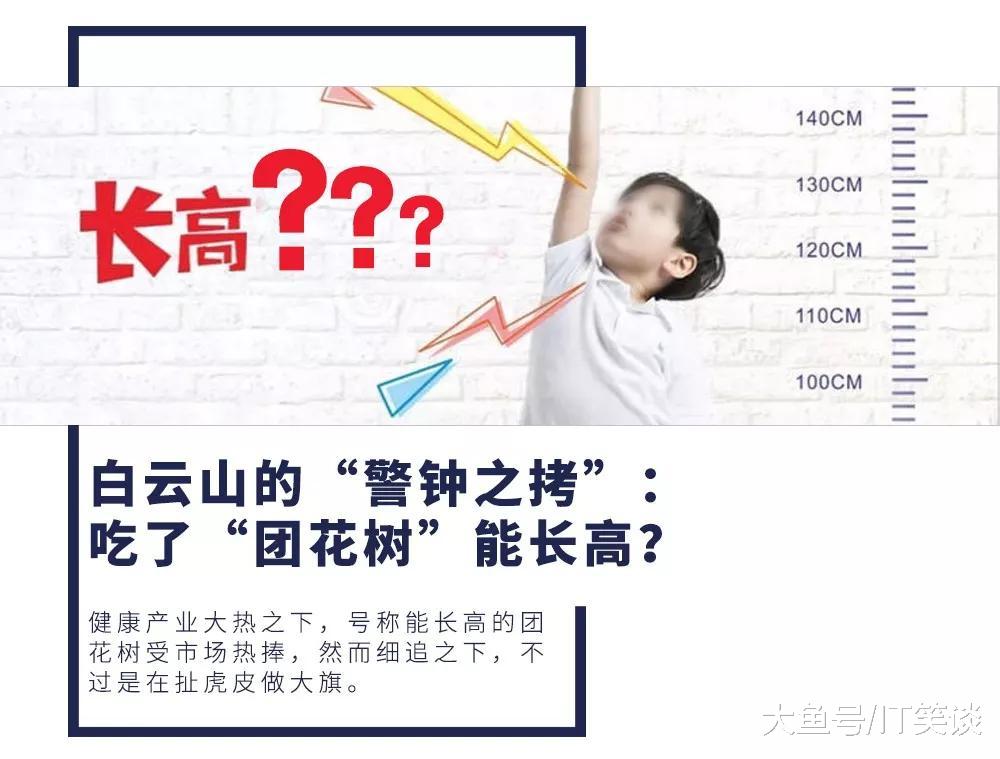 白云山的“警钟之拷”：吃了“团花树”能长高？