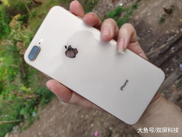 iPhone性价比最高手机，简直要卖疯了！